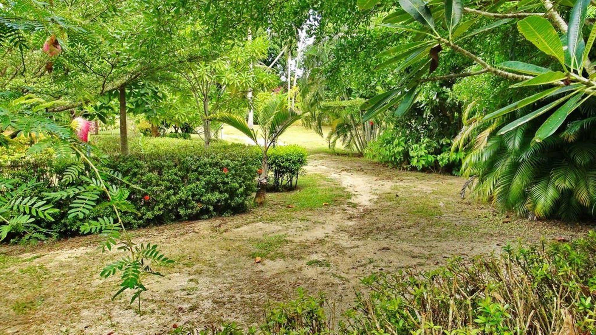 Aliyah Garden House Villa Baan Tai Dış mekan fotoğraf